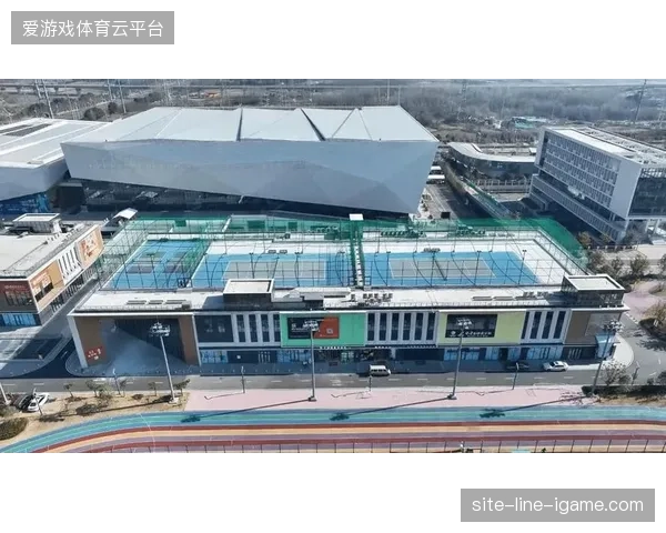 未来三年区域性体育场馆运营将成为数字化互动的核心竞争高地